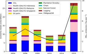 Assessing Costs Of Indonesian Fires And