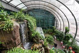 waterfall in t3 singapore airport