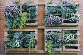 Vertical Gardening