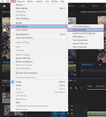 how to create freeze frame in adobe