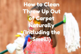 clean throw up out of carpet naturally