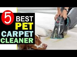 best carpet cleaner for pets 2023 2024