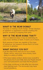 You will need to do the proofreading without others to help you. Alberta Parks On Twitter 1 3 You See A Bear So Now What All Bears Are Individuals So Each Bear Encounter Will Be Unique Serious Attacks Are Rare But You Must Always Be