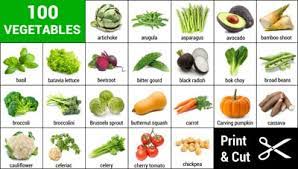 100 vegetables cards with names and