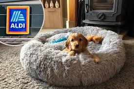 So, why not try it out and help your canine friend have an ultimate snoozing moment? Dog Owners Are Frantically Searching For 20 Aldi Dog Beds The Northern Echo