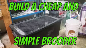 building a and simple brooder
