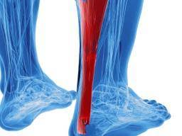 Related online courses on physioplus. Achilles Tendinitis Treatment Symptoms And Causes