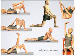 back stretching exercises improve