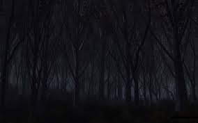 dark scary haunted forest wallpaper