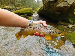It tucks away near the stream of feather river. 9 Top Rated Fly Fishing Regions In Pennsylvania Planetware