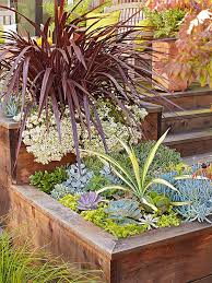 Our Top 10 Container Gardening Tips For