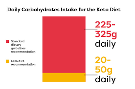 low carb vs keto what is the