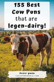 All kids are natural comedians make them laugh in family or in class and promote the development of your little ones sense of humor with our collection of cow jokes. 155 Best Cow Puns That Are Simply Legen Dairy 2021