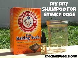 stinky dog this diy dry dog shoo