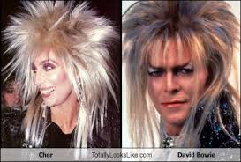 Totally Looks Like - cher - Page 2 - Stuff That Looks Like Other Stuff - ... - hE985BCA9