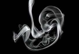 سیگار کشیدن مادر باردار بر DNA جنین اثر می‌گذارد » سپید آنلاین