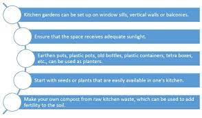 8 Easy Steps To Set Up A Kitchen Garden