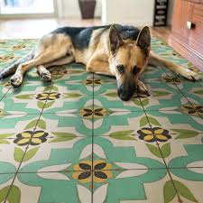 your dog to stop ing on rugs