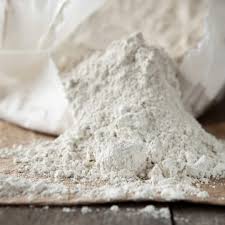 use diatomaceous earth as an insecticide