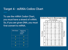 Target 4 Mrna Codon Chart