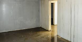 Water In Your Basement Or Crawlspace