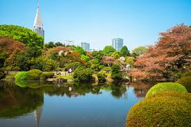 shinjuku gyoen national garden