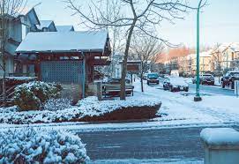 The Maple Syrup blog: Пост про 5 зиму в Канаде.