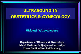 ppt ultrasound in obstetrics