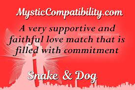snake dog compatibility mystic
