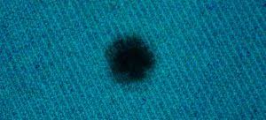 Moreover, they will reduce your hair fall. How To Remove Burns From A Carpet
