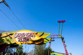 busch gardens will open serengeti flyer