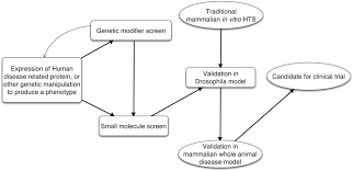 human disease models in drosophila melanogaster and the role of the figure