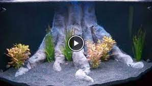 Diy easy & cute aquarium stand: 10 Great Ideas How To Decorate A Fish Tank With House Hold Items