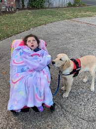 autism support dogs service dog