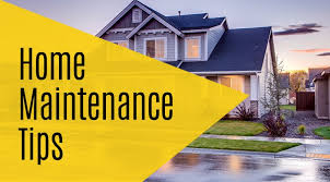Moreover, he needs vast expanses. A Quick Guide To House Repair And Home Maintenance Plan