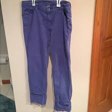 Arizona Purple Jeans