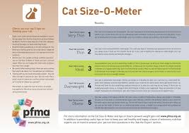 A cat weight chart from petprescription lists additional breeds. Cat Size O Meter