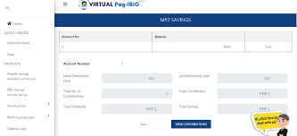 a guide to virtual pag ibig hdmf s