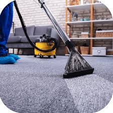 carpet cleaning near al va