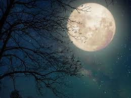 ¿te ha gustado nuestro sitio web? Superluna De Las Flores 2021 Que Significa Y Por Que Se Llama Asi La Luna Llena De Mayo La Mas Grande Del Ano Para Ti
