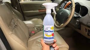 how to clean mould and fungus from car