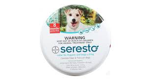 Seresto Puppy Small Dog Under 8kg Tick Flea Collar R530 00 R530 00 Buy From Pet Heaven Online Pet Supplies