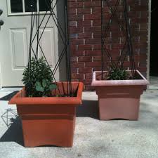 faded plastic plant pots with paint