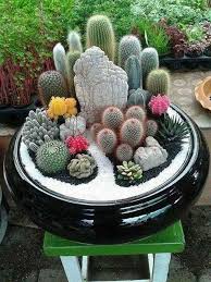 Mini Cactus Garden Succulent Garden Diy