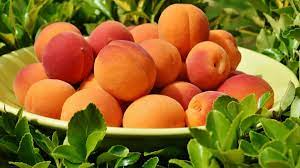 Персик на абрикос