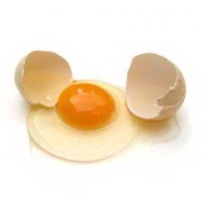 Hasil gambar untuk gambar telur