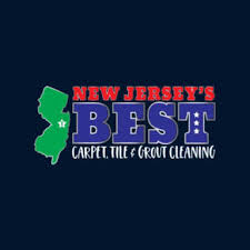 7 best brick carpet cleaners
