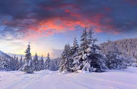 winter hd wallpaper peakpx