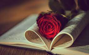Télécharger fonds d'écran rose rouge dans un livre, l'amour des concepts, des livre, des roses, de la romance, de l'humeur pour le bureau de la résolution 1920x1200. Photos gratuites fonds d'écran