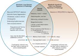 Ast Alt Ratio An Overview Sciencedirect Topics